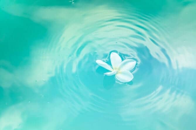 Becoming alive to the beauty we carry within