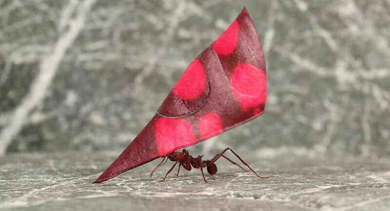 Antworks