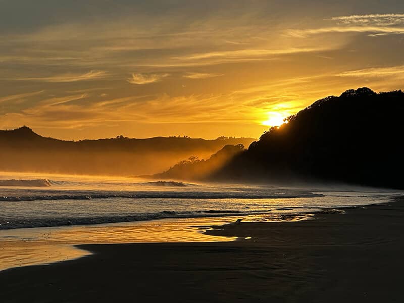 Rediscovering Our Soul Senses